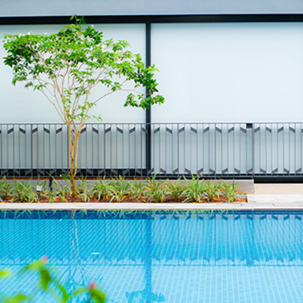 Roller Blinds — Legate (ảnh 3)